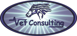 vetconsulting